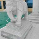 钦州 白麻花岗岩动物异形石雕-大象