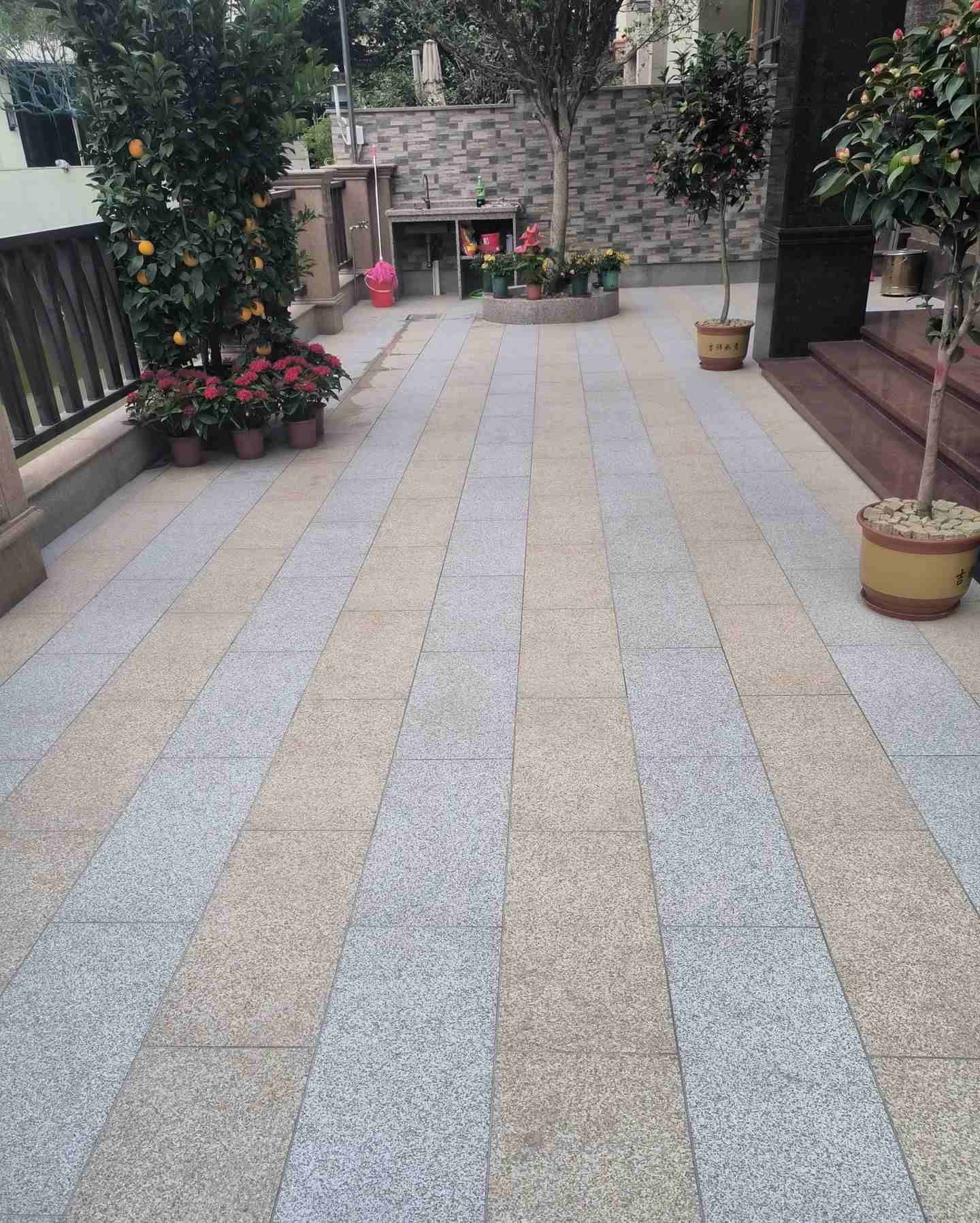 钦州 黄金麻白麻荔枝面庭院铺装展示